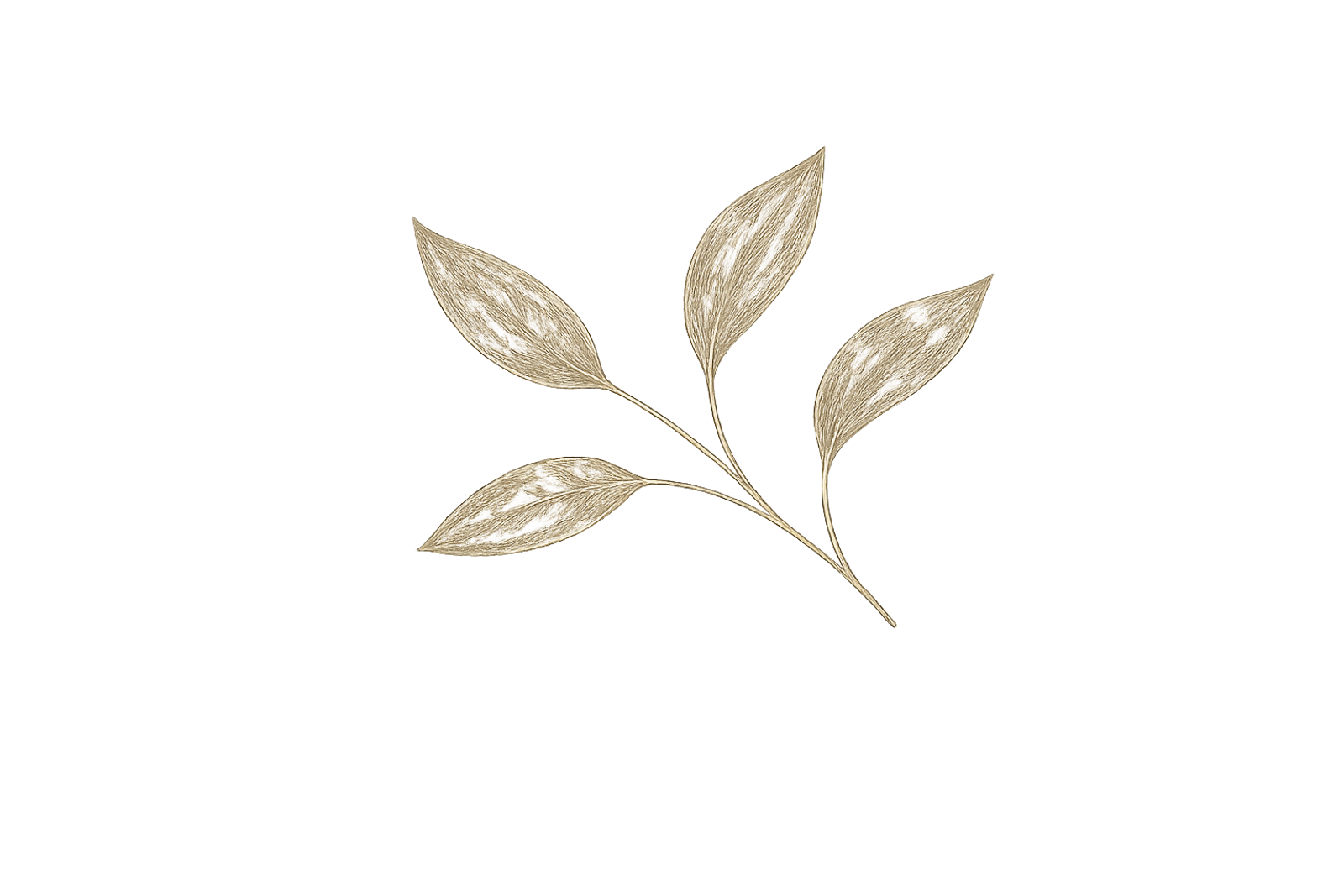 Individuella sessioner